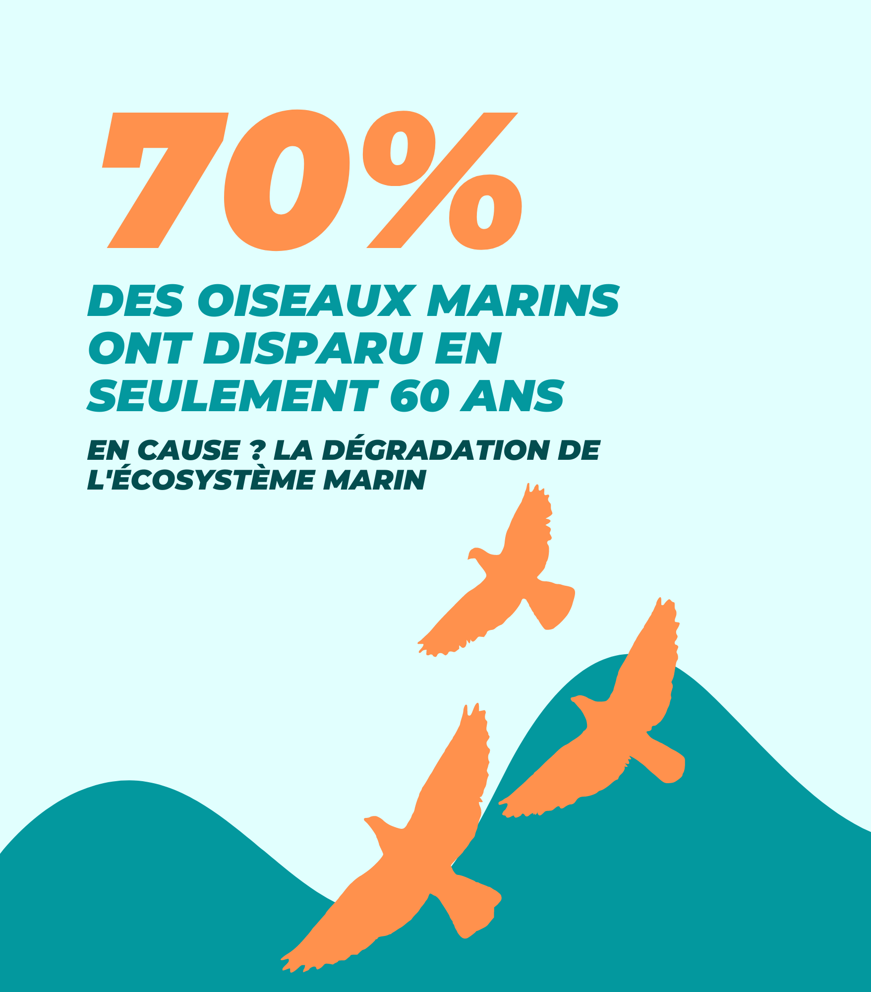 INFOGRAPHIE ECOLOGIE (1)