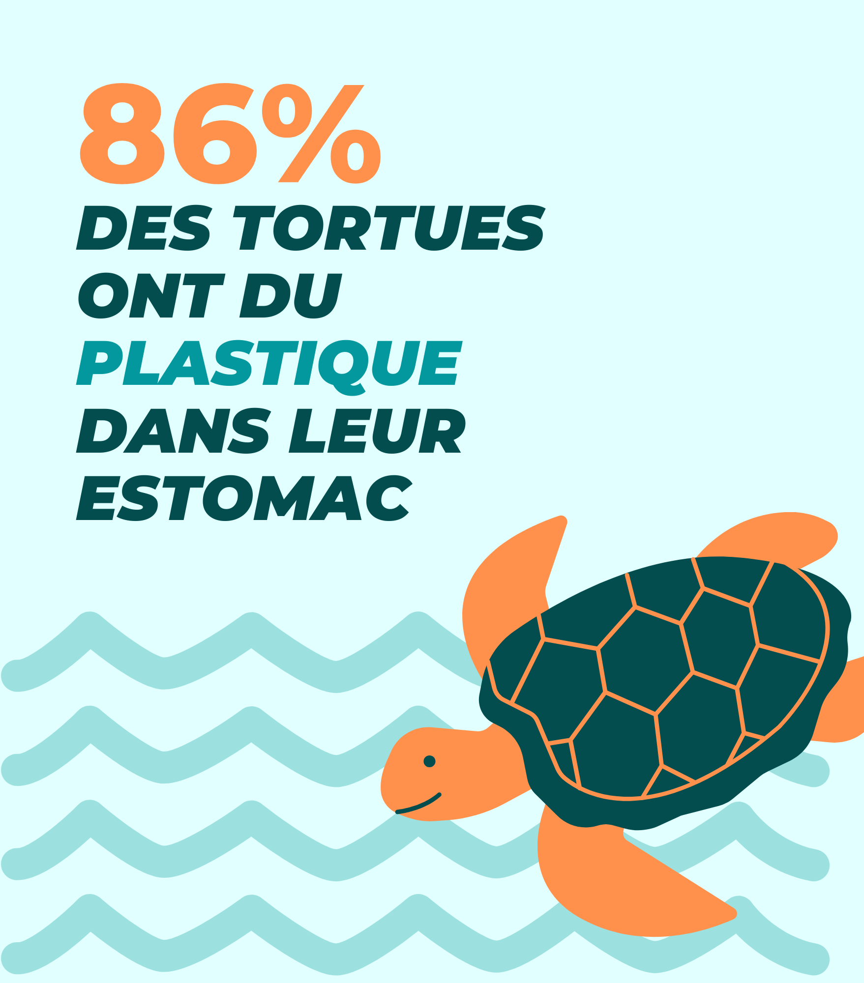 INFOGRAPHIE ECOLOGIE (3)