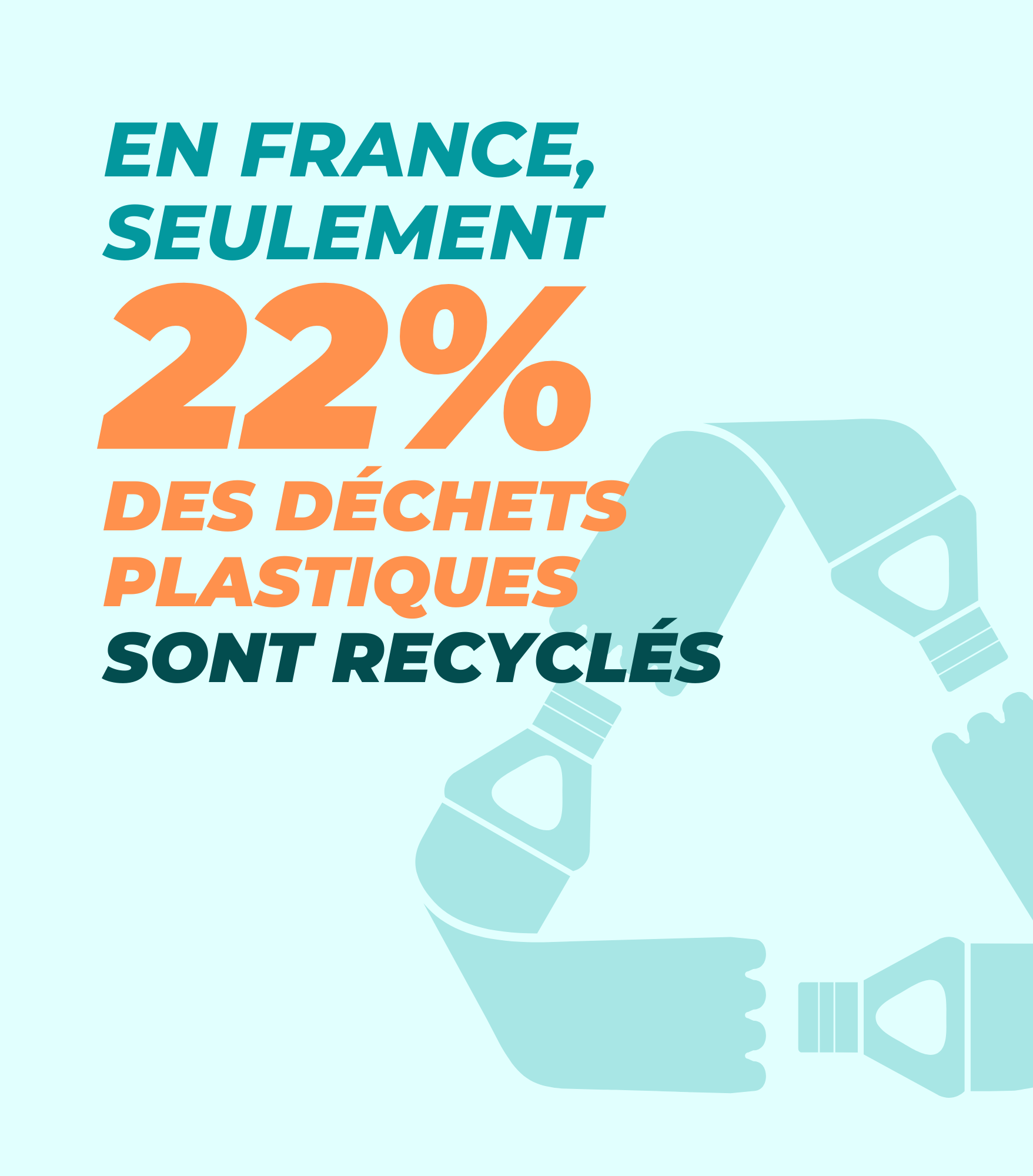 INFOGRAPHIE ECOLOGIE (5)